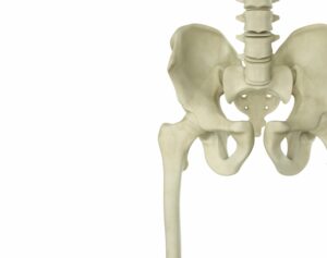 【守口市の骨盤矯正】骨盤の歪みで起こる不調とは？原因・症状・治療法を徹底解説｜門真市・寝屋川市からも多数来院